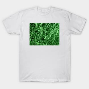 Green Marble Texture T-Shirt